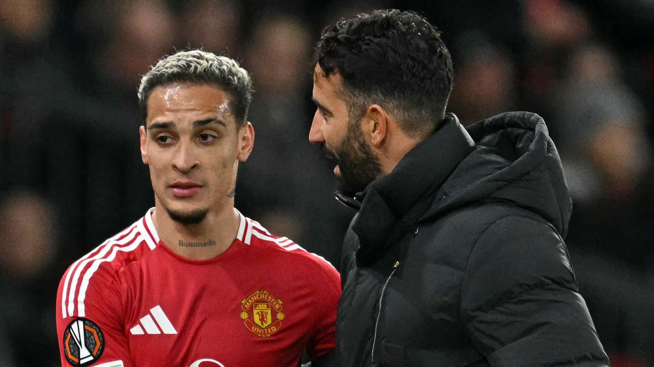 仅体现在 仅体现在