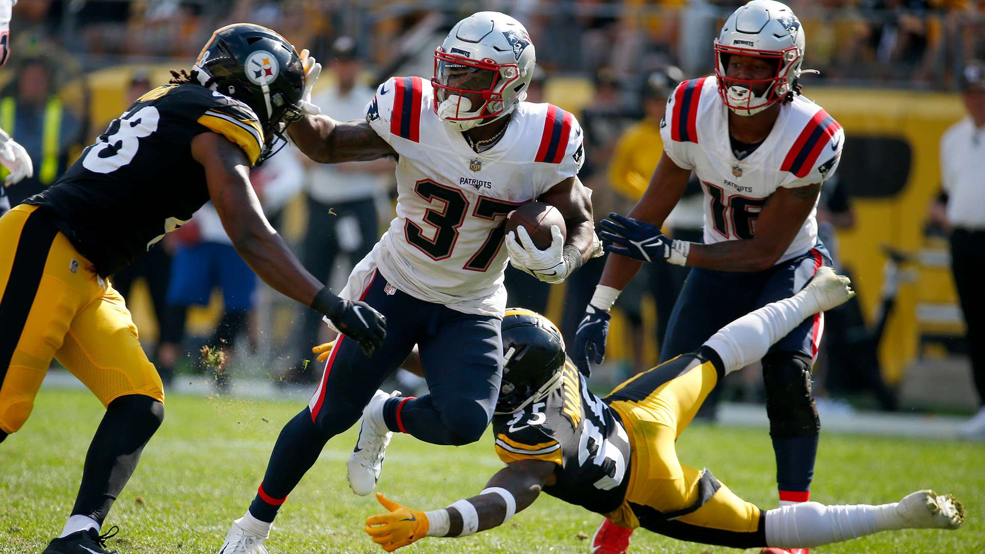 献上了一场 献上了一场